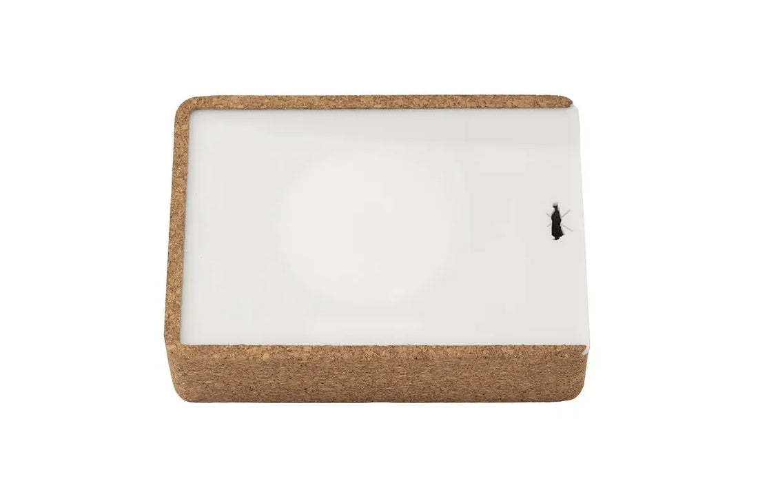 Tatara Shaving Set - Essentials