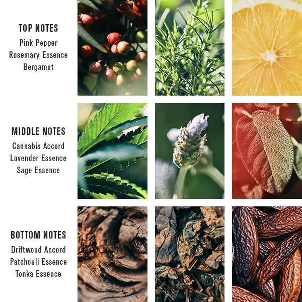 Baxter Of California Pacific Cannabis Eau De Parfum 100 Ml